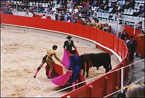 Spanish bull fight